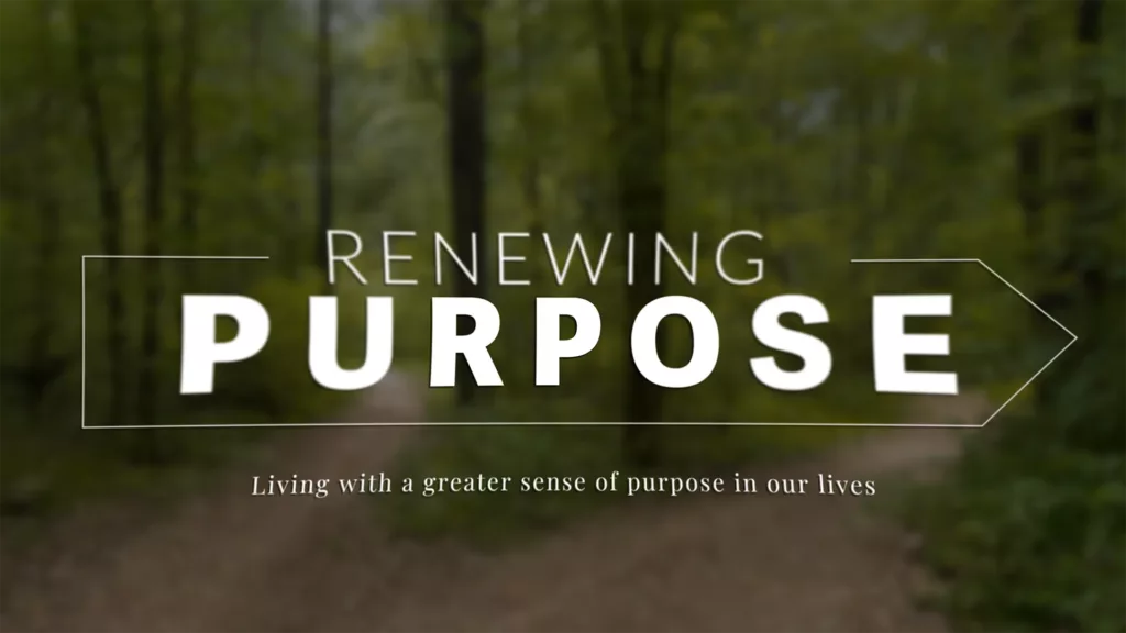Renewing Purpose