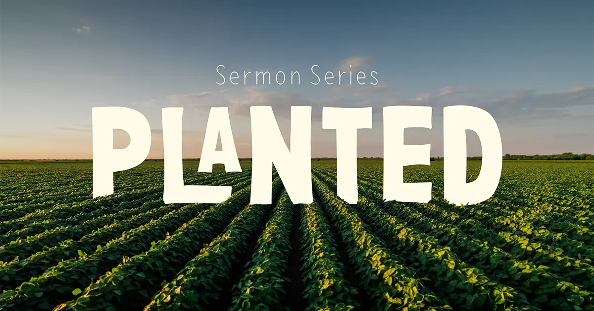 Planted Sermon Series